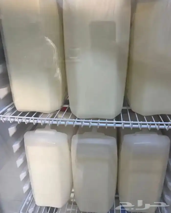 حليب ولبن ماعز طازج 2