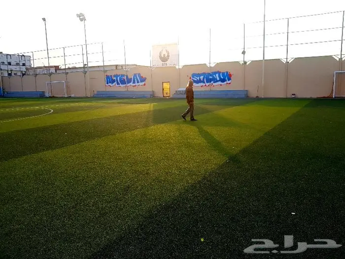 رسام محترف 9