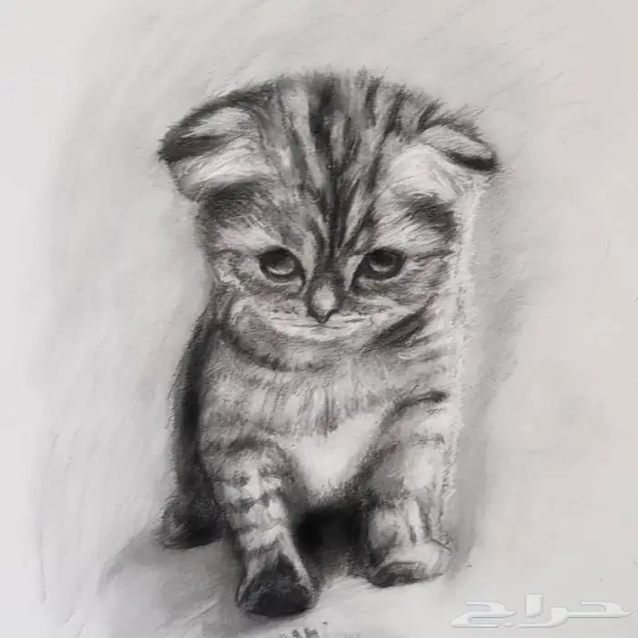 رسام محترف 7