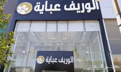 خطاط احرف بارزه مضيء واجهات كلادنج 3