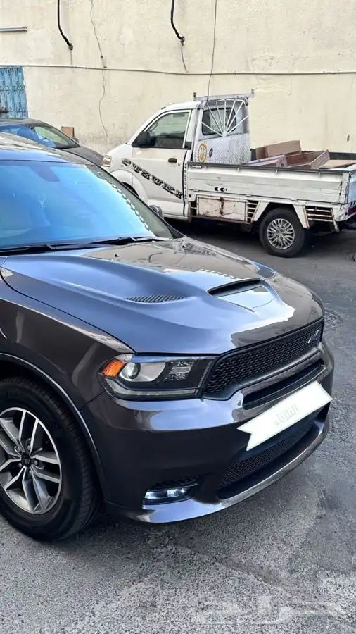 صدام درانقو كبوت درانجو 2