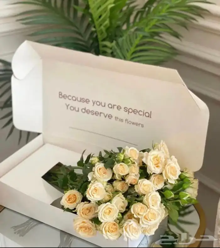 طباعة بوكسات ورد أكياس 18