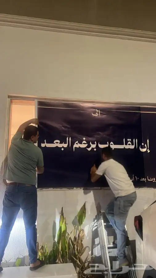 دعاية واعلان 3