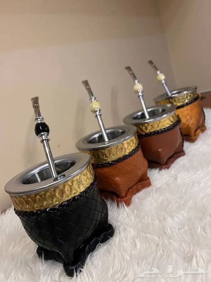 عن الفخامة نتحدث هنا عالم المته الارجنتيني 7