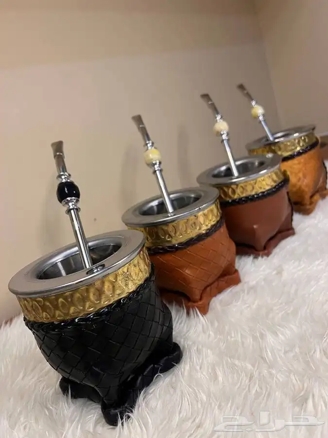 عن الفخامة نتحدث هنا عالم المته الارجنتيني 6