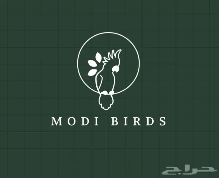متجر Modi Birds 5