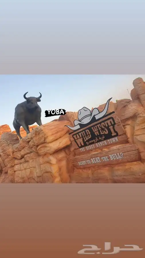 صناعه مجسمات .. فلين معالج   فوم 6