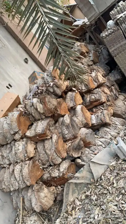 للبيع صلاخ ومحاكر 2