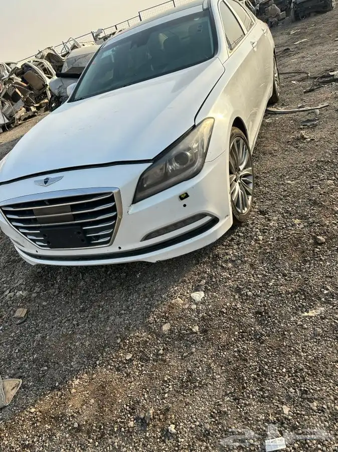 جنسس 1