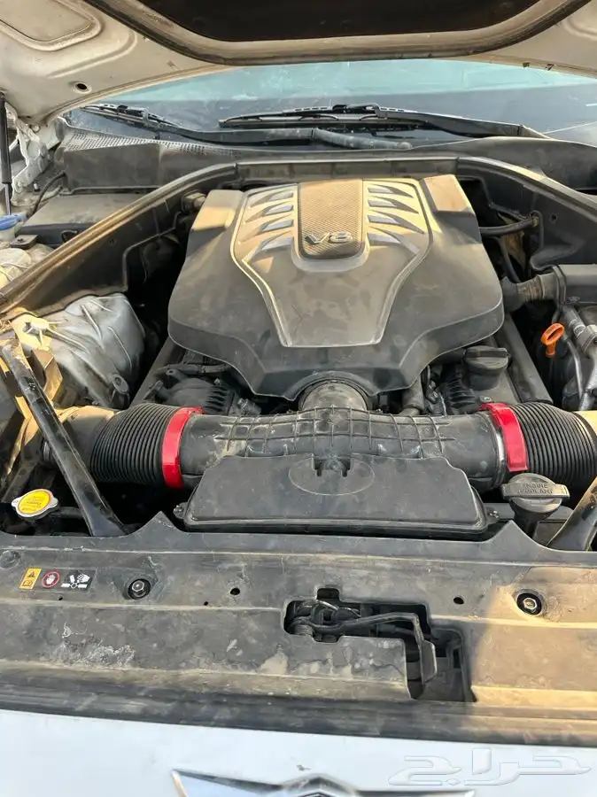 جنسس 2