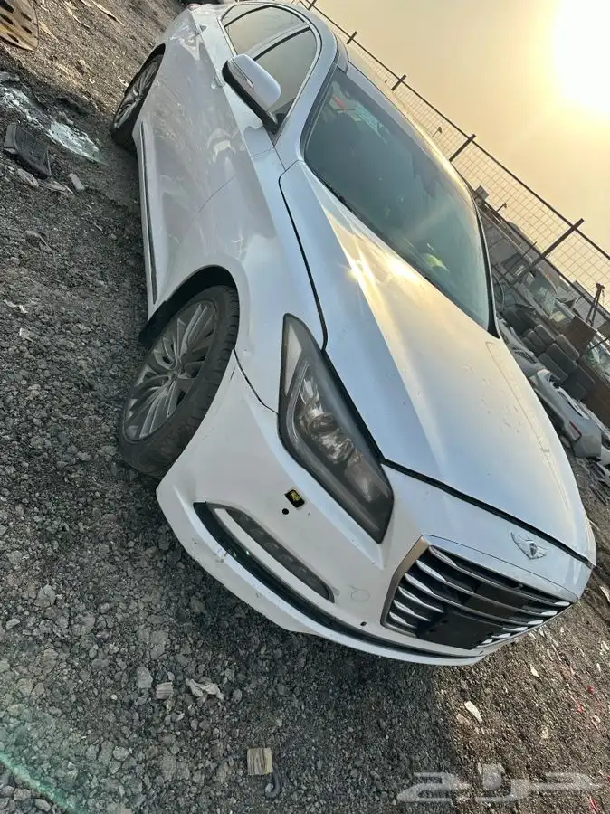 جنسس 0