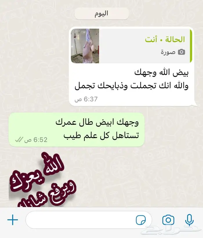 ذبايح طليان حري ذبح توصيل لباب بيتك 7