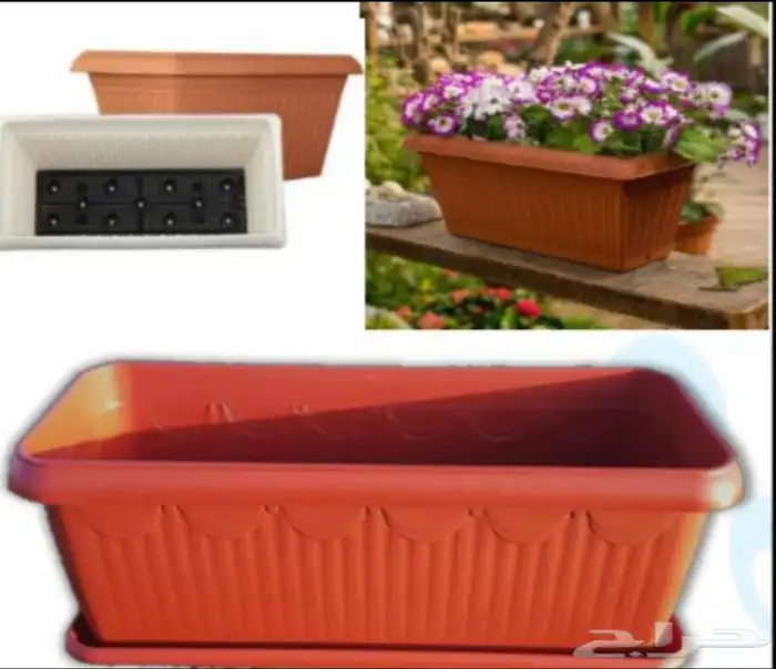 مراكن زراعية 41