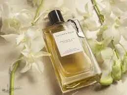 تصوير عطور بشكل مميز 1