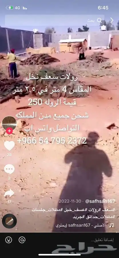 سعف جريد نخل رولات 2