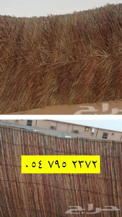 سعف جريد نخل رولات 1