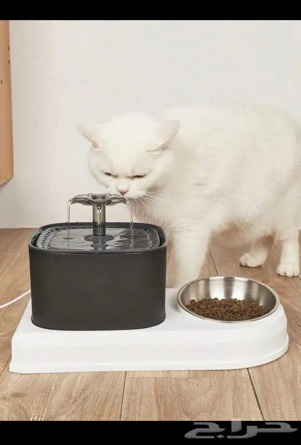 نافوره قطط مع صحن اكل 0