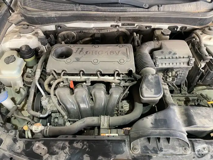 مكاين - قيور سنتافي-سوناتا-النترا-اكسنت-ازيرا-اوبتما-ريو 1