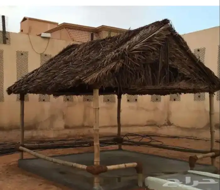 سعف جريد نخل رولات 0