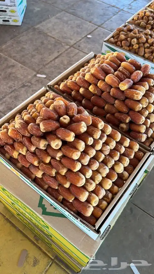 تسويق جميع انواع التمور 2