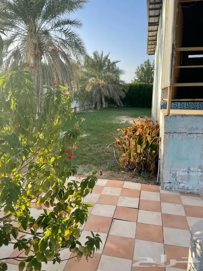 For combanies Agricultural lands for rent 15000 m 2
