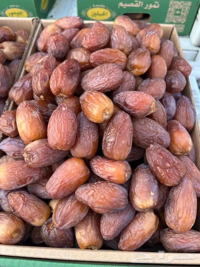 تسويق جميع انواع التمور 5