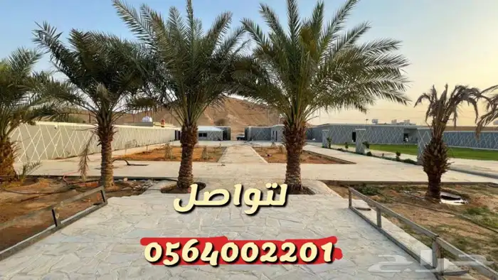 استراحه مزرعه الهياثم العفجه النجديه الرحمانيه الخرج 5