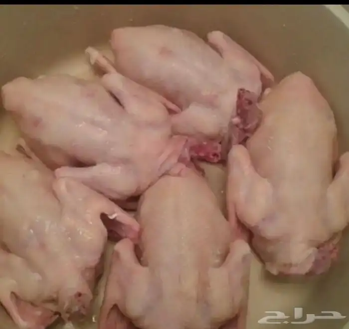 زغاليل حمام فرنسي جامبو 3