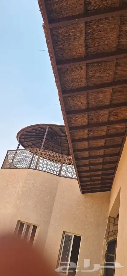 خيزران وبامبو 11