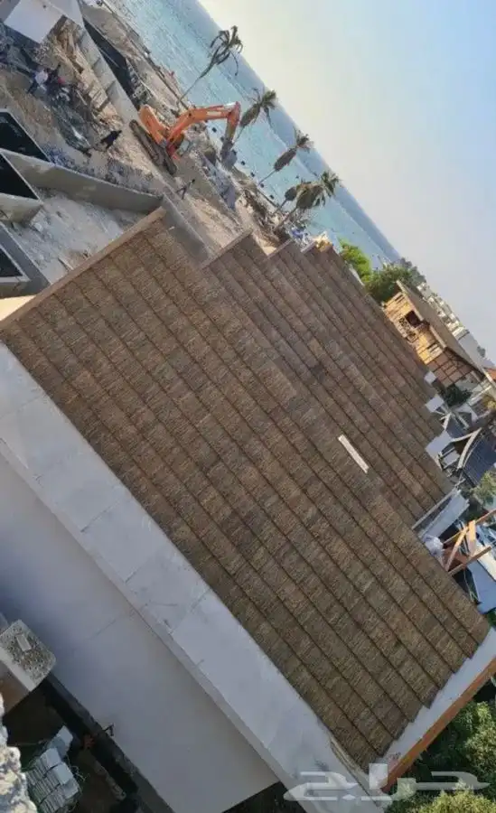 خيزران وبامبو 6