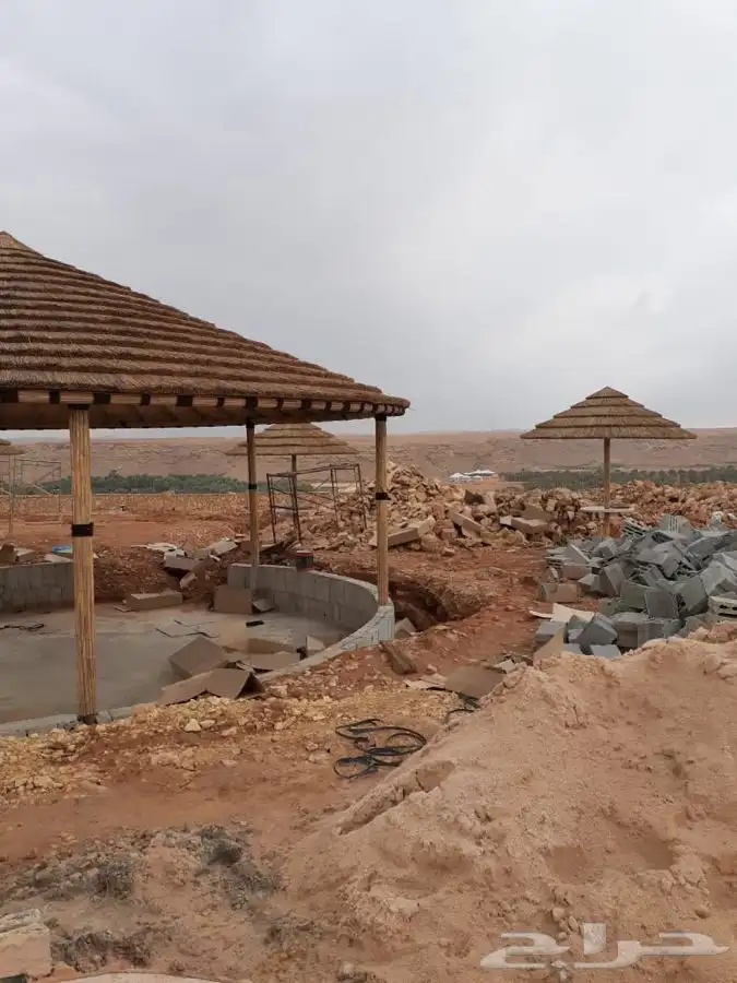 خيزران وبامبو 29