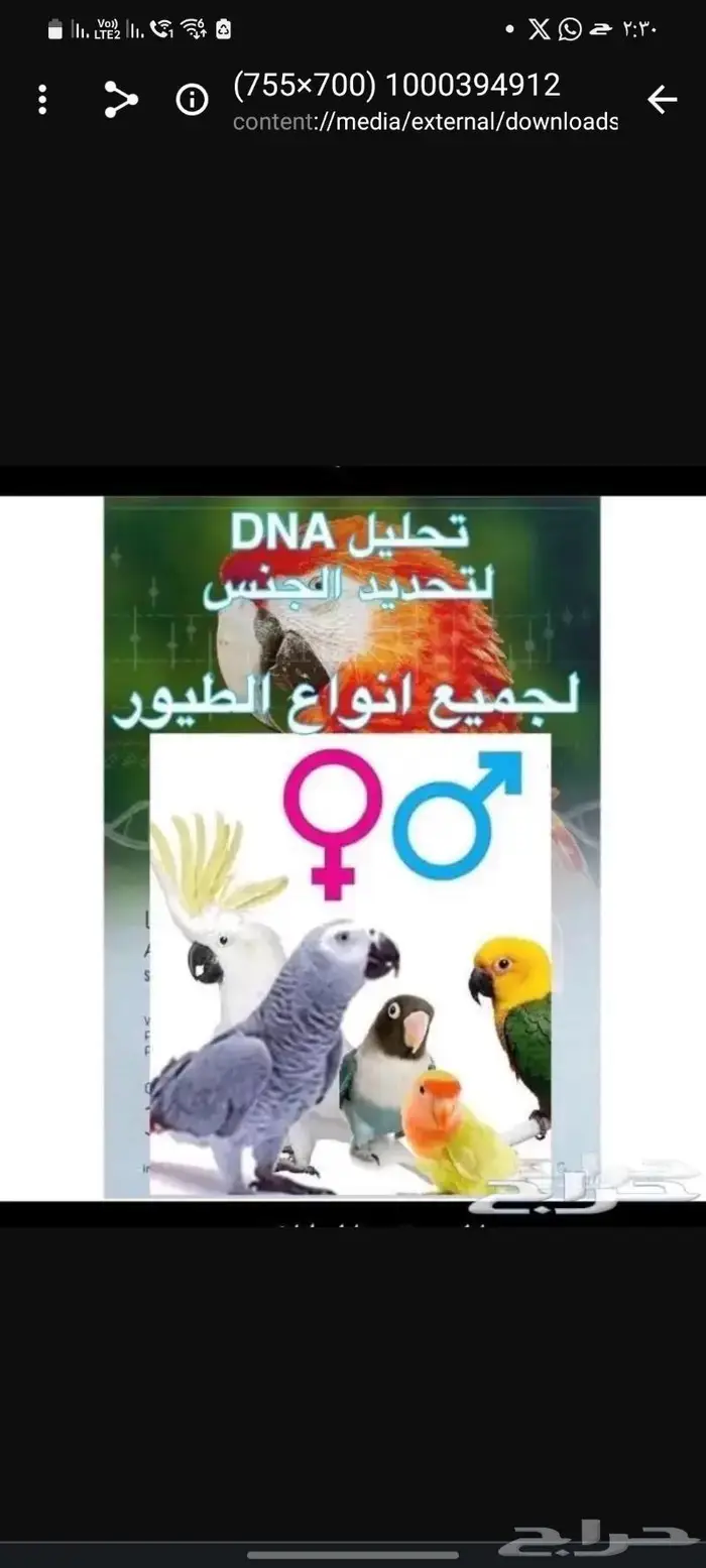 تحليل DNA للطيور 0