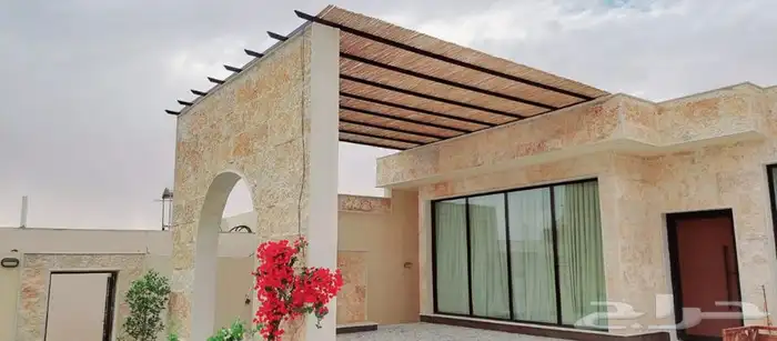 خيزران وبامبو 31