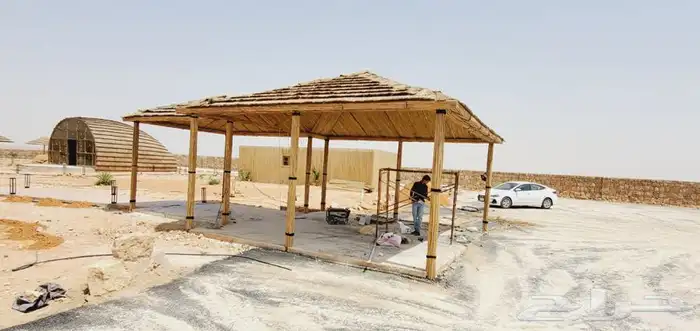 خيزران وبامبو 3