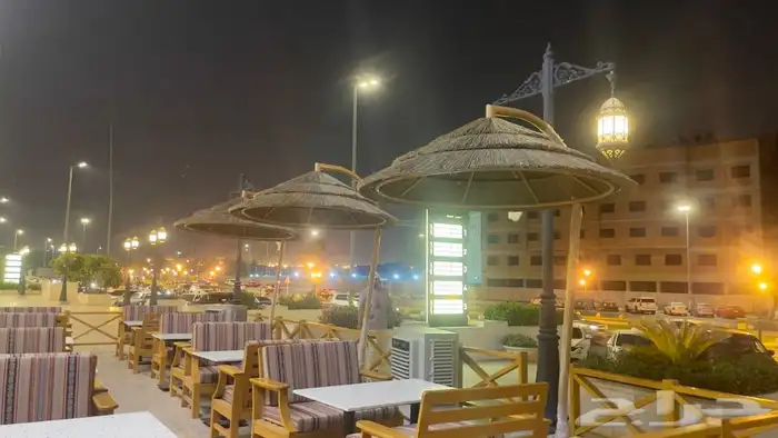 خيزران وبامبو 23