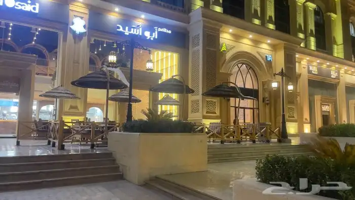 خيزران وبامبو 17