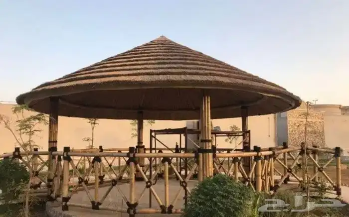 خيزران وبامبو 7