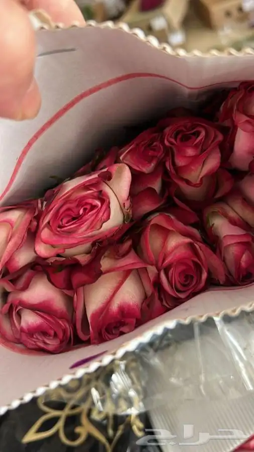 ورد جمله الشرقية 1