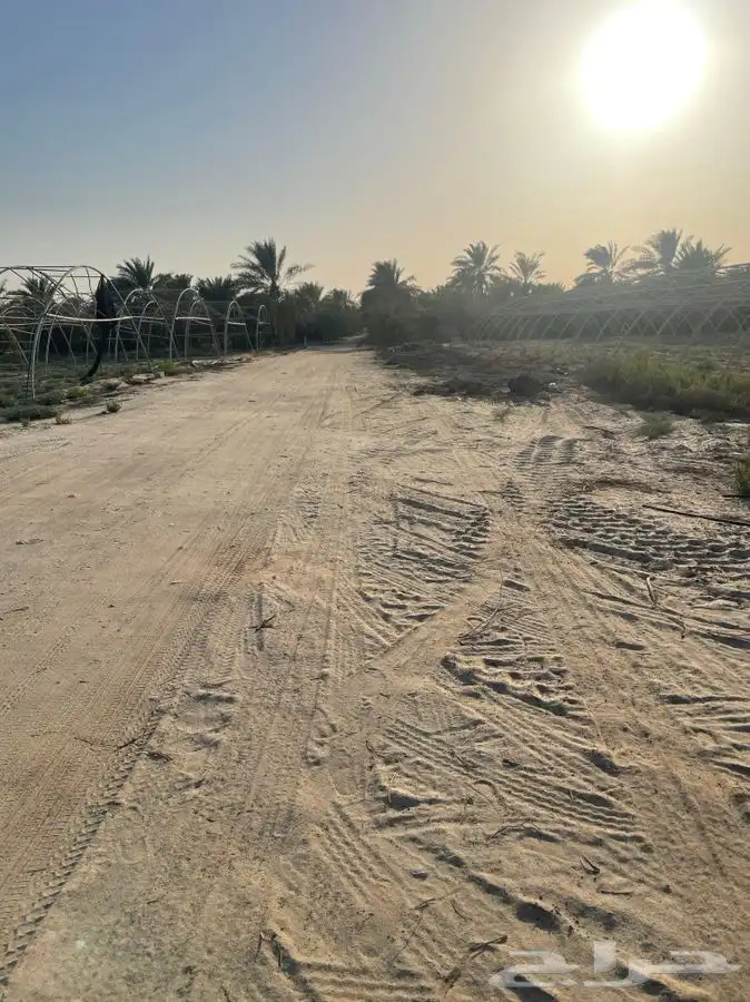 للايجار عدد 2 استراحه متكامله ومساحات 15000 الف متر للشركات 6