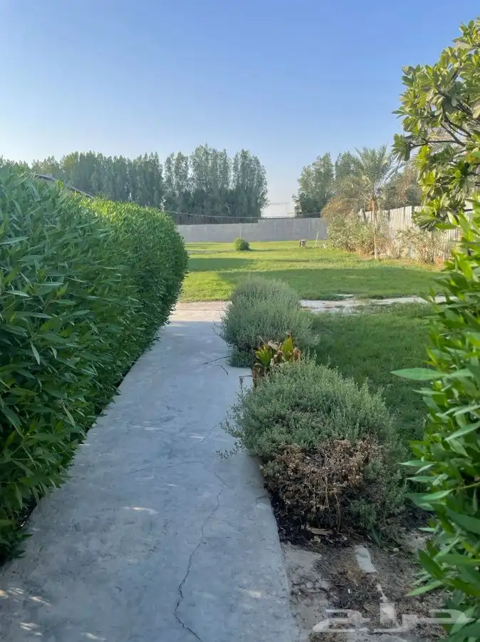 للايجار عدد 2 استراحه متكامله ومساحات 15000 الف متر للشركات 1