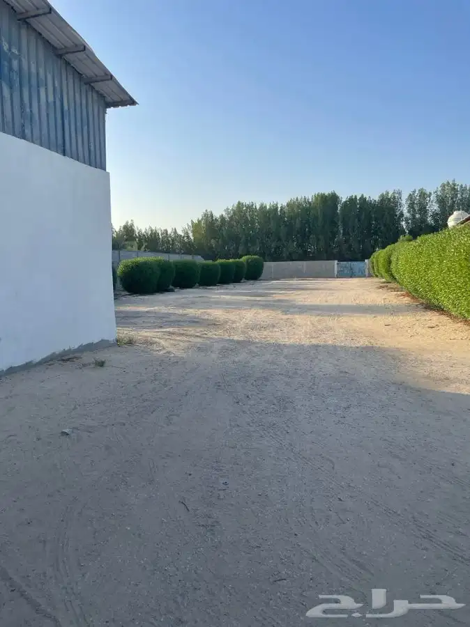 للايجار عدد 2 استراحه متكامله ومساحات 15000 الف متر للشركات 2