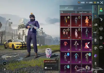 حساب ببجي 31