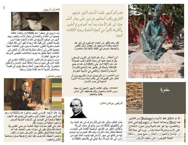 حل واجبات جميع المراحل 5