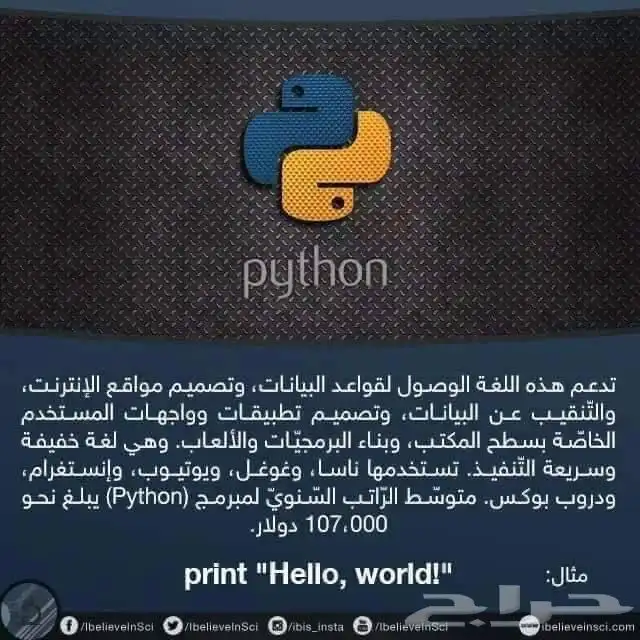 بحوث جامعية حل أسايمنت عروض بور بوينت 6
