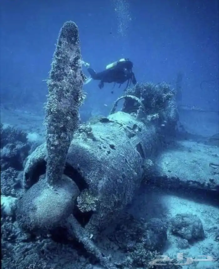 Scuba Diving Experience 1
