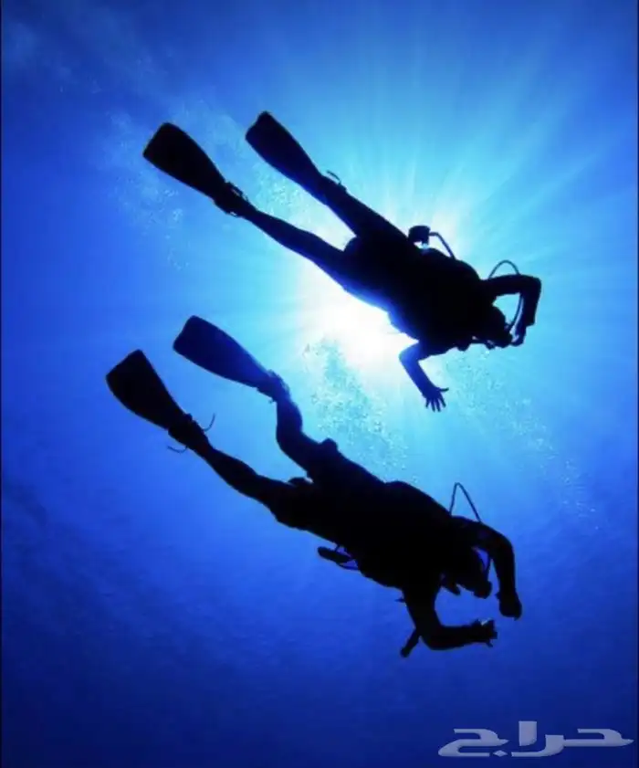Scuba Diving Experience 0