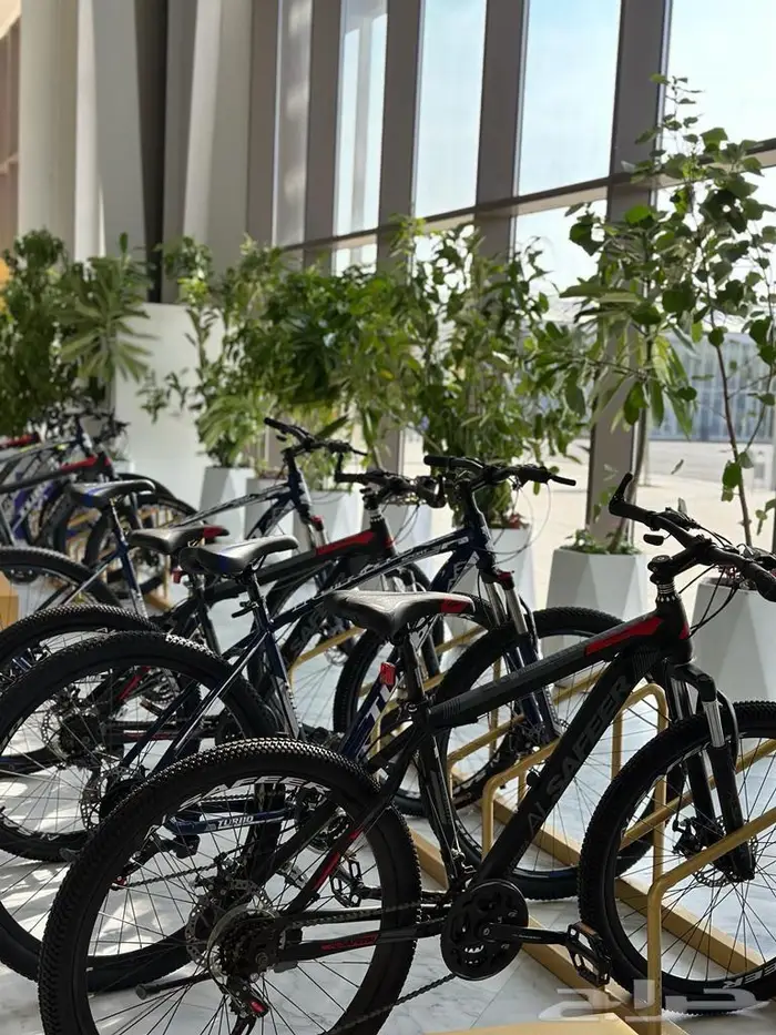 تأجير دراجات وسكوترات للمجموعات والشركات 1