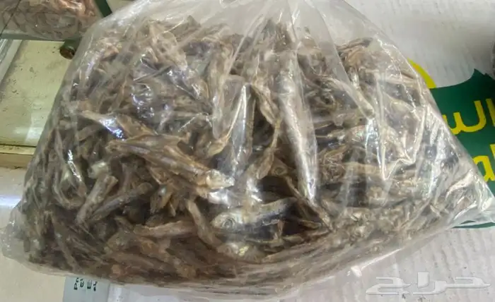 سمك عوم مجفف للبيع 0