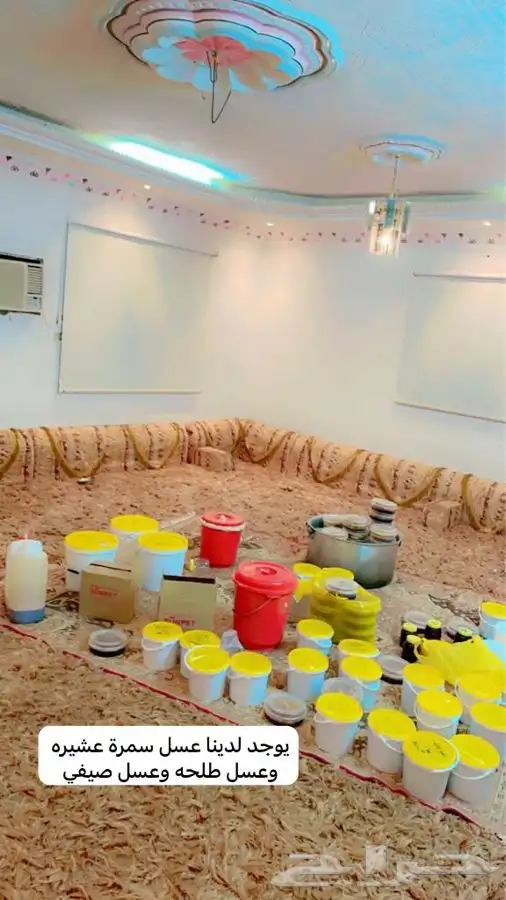 عسل سمرة  عشيرة وعسل  طلحة  وعسل صيفي وجميع انواع العسل 0