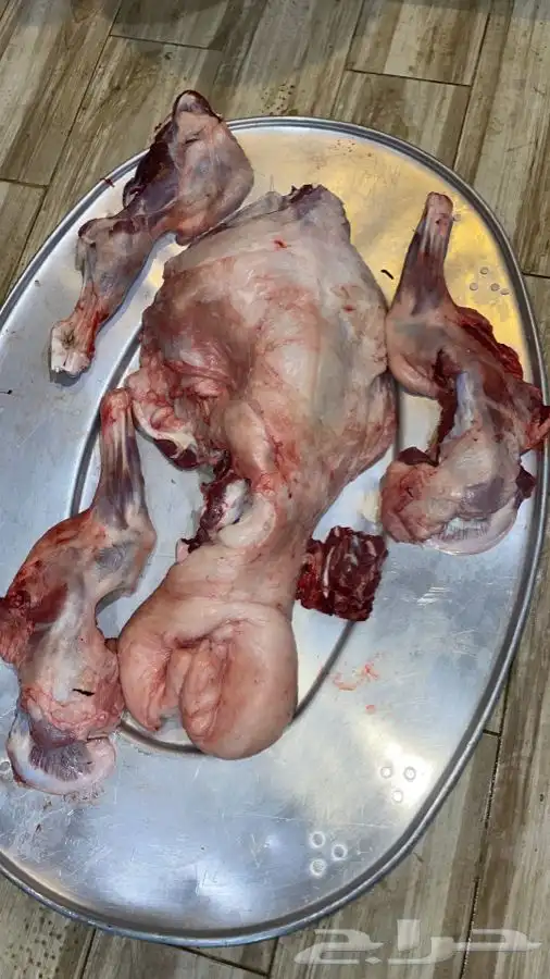 طبخ جميع المناسبات مفرزال سليق مندي بخاري كابلي شوايه بوسنيه 48